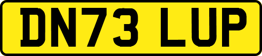 DN73LUP