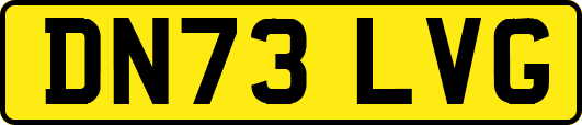DN73LVG