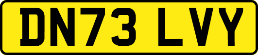 DN73LVY