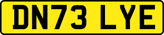 DN73LYE