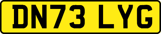 DN73LYG