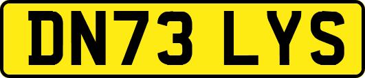 DN73LYS