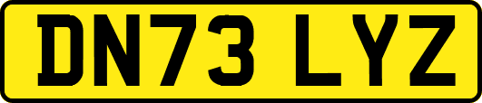 DN73LYZ