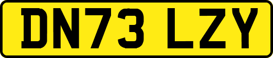 DN73LZY