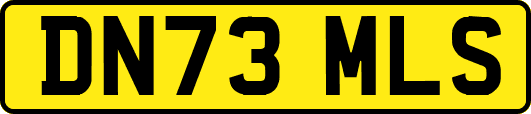 DN73MLS