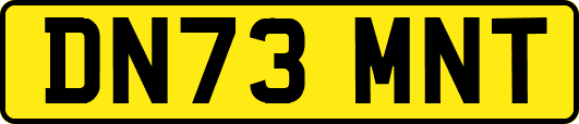 DN73MNT