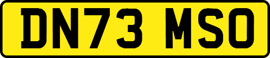 DN73MSO