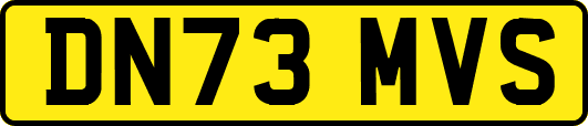 DN73MVS