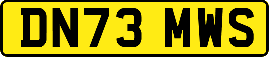 DN73MWS