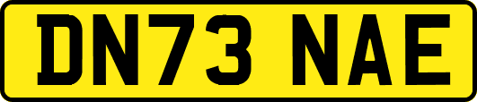 DN73NAE
