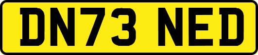 DN73NED