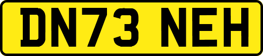 DN73NEH