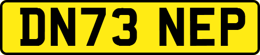 DN73NEP