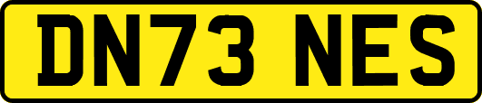 DN73NES