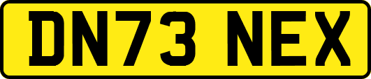DN73NEX