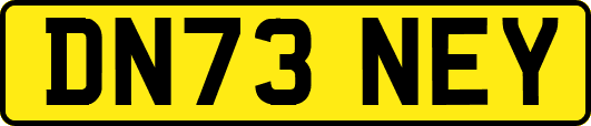 DN73NEY