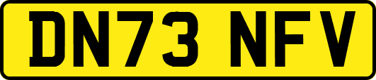 DN73NFV
