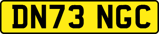 DN73NGC