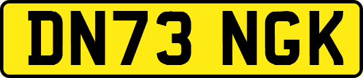 DN73NGK