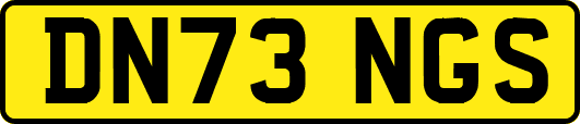 DN73NGS