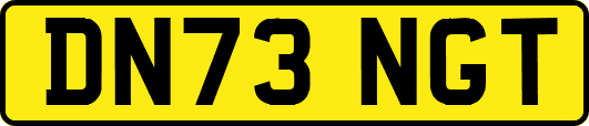 DN73NGT