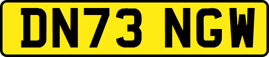 DN73NGW