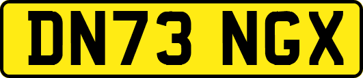 DN73NGX