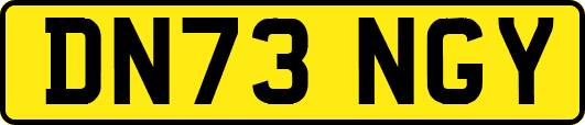 DN73NGY