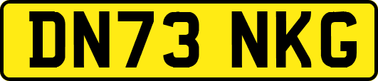 DN73NKG
