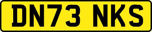 DN73NKS