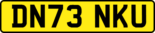 DN73NKU