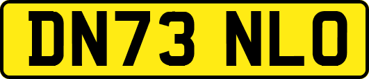 DN73NLO