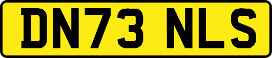 DN73NLS