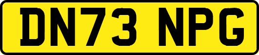 DN73NPG