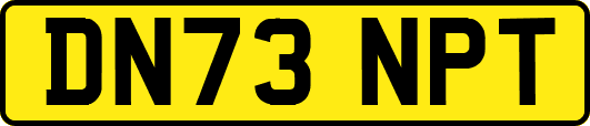 DN73NPT