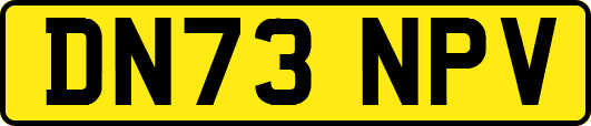 DN73NPV
