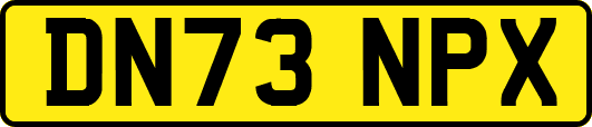 DN73NPX