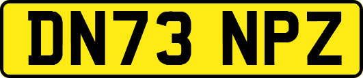 DN73NPZ