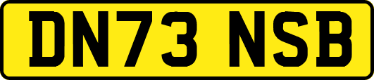 DN73NSB