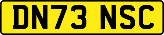 DN73NSC