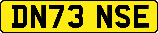 DN73NSE