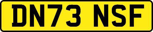 DN73NSF