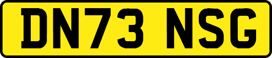 DN73NSG
