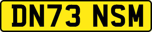DN73NSM