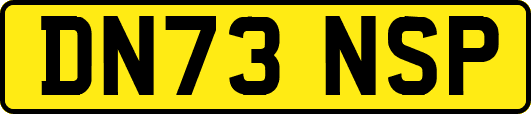 DN73NSP