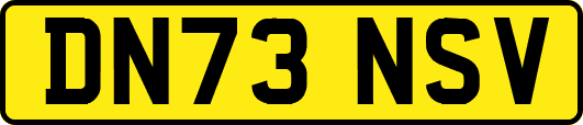 DN73NSV