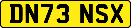 DN73NSX