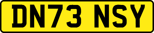 DN73NSY