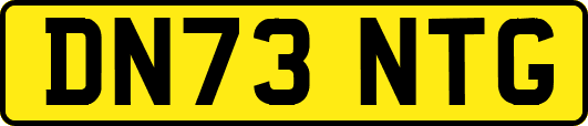 DN73NTG