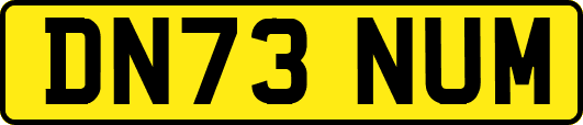 DN73NUM